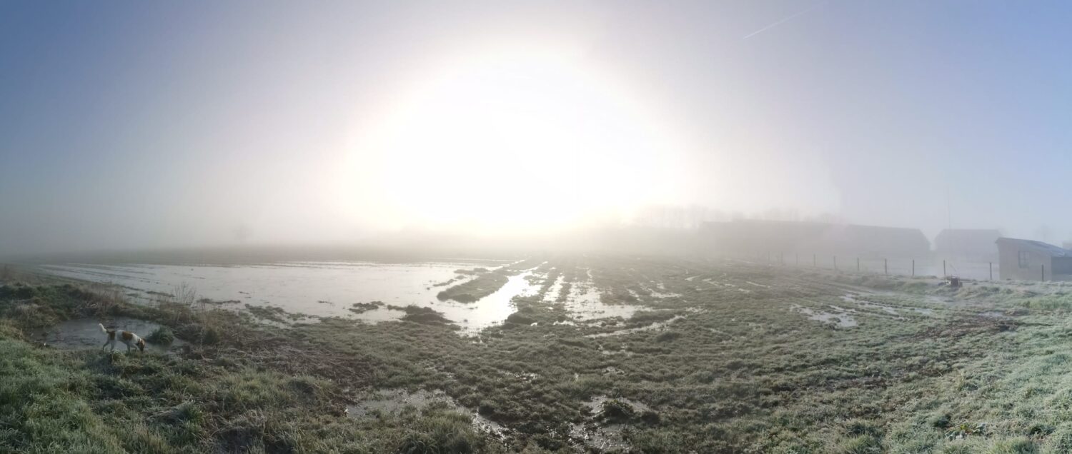 Vuurkrachtig-EMDR Door zon verlicht landbouwakker in de mist