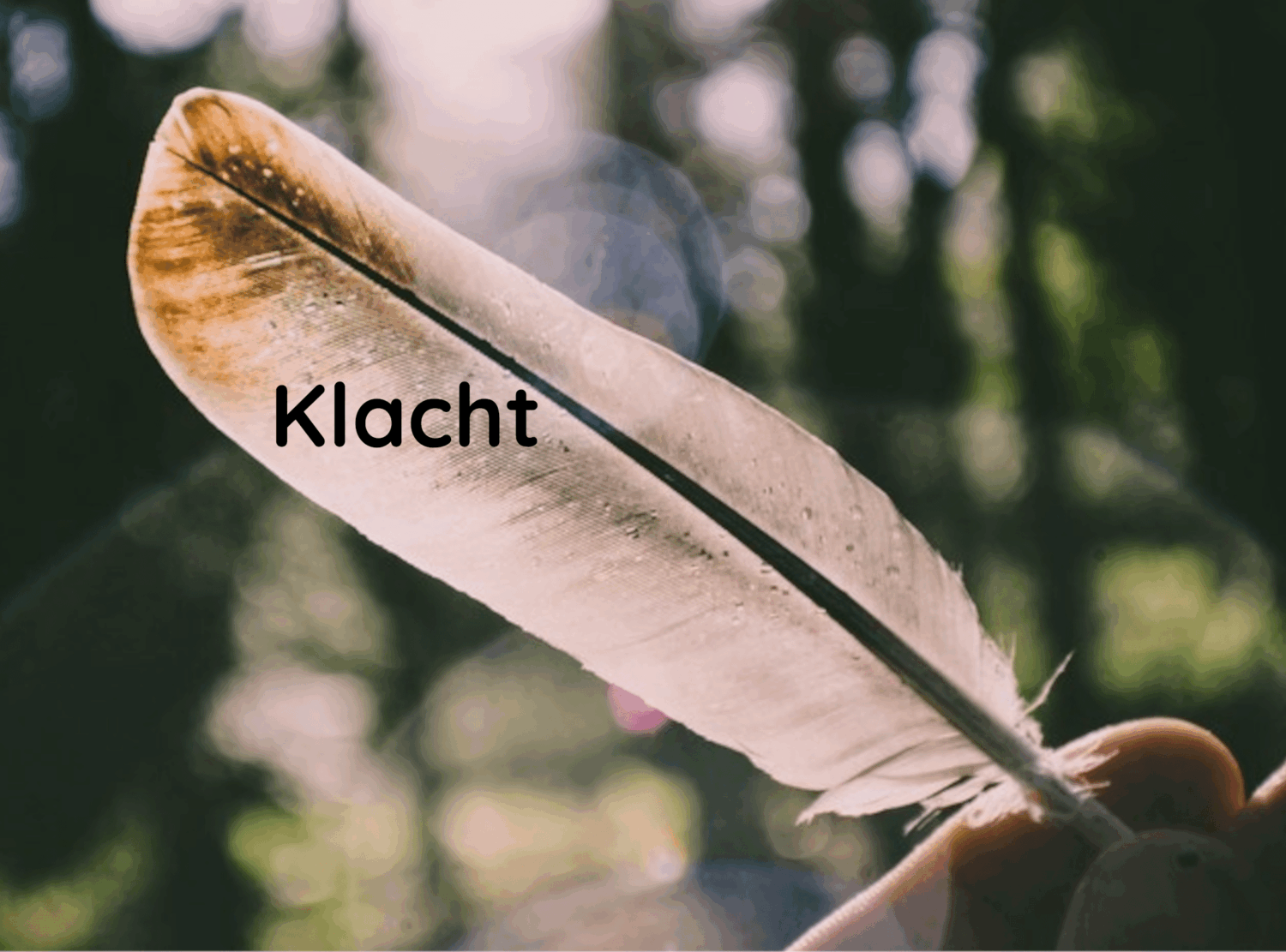 Vuurkrachtig-klachten-veer tegen het licht houden Foto van een veer in de hand / schrijfveer tegen het licht gehouden met de tekst "klacht" in de afbeelding, zachte natuurlijke kleuren